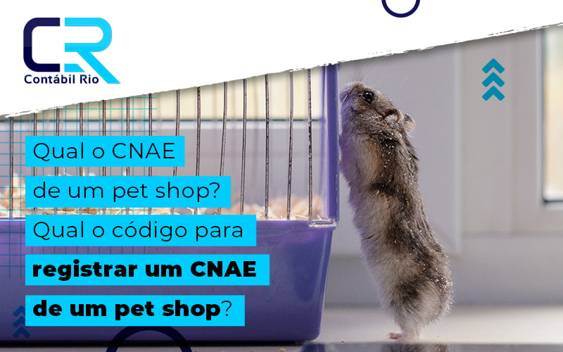 CNAE para pet shop: o que você precisa saber?